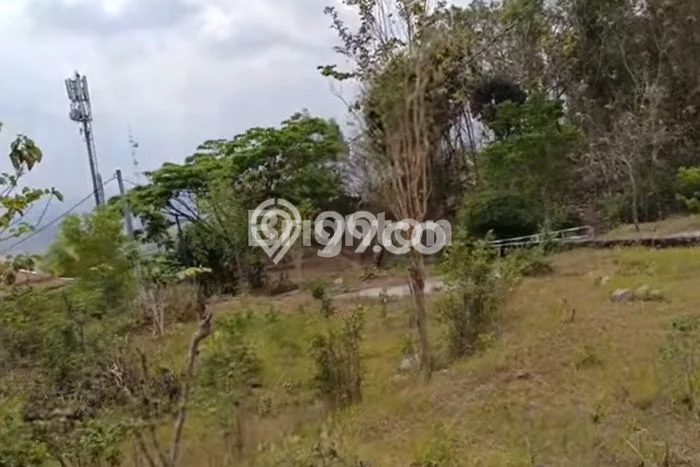 Tanah di Prambanan, Sleman Luas 500m2 Dijual Segera Tanah di Prambanan, Sleman Luas 500m2 Dijual Segera