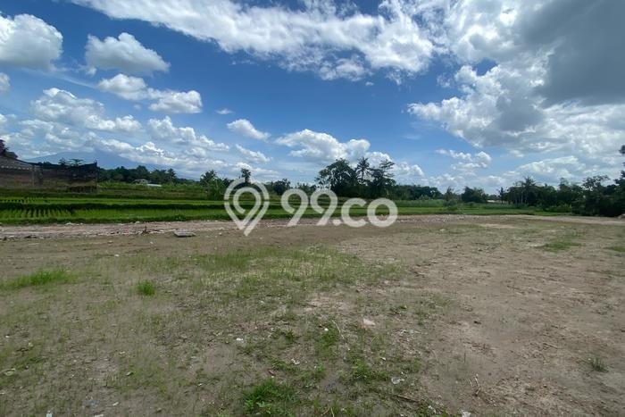 Tanah Kavling Dijual di Yogyakarta dengan Spesifikasi 100m2 Tanah Kavling Dijual di Yogyakarta dengan Spesifikasi 100m2