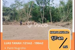 1jtan, Dp Ringan, Utara Kopi Klothok, Pakem, Sleman 1jtan, Dp Ringan, Utara Kopi Klothok, Pakem, Sleman