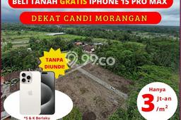 Bisa Kpt, Tanah Jogja, Exit Tol Kalasan, Jl. Cangkringan Sleman Bisa Kpt, Tanah Jogja, Exit Tol Kalasan, Jl. Cangkringan Sleman