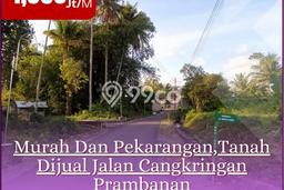 Tanah Jogja, 100jtan, Tanpa Bunga, Uii Pusat Jl. Kaliurang Sleman Tanah Jogja, 100jtan, Tanpa Bunga, Uii Pusat Jl. Kaliurang Sleman