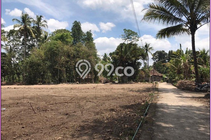 Nego, Tanah Jogja, Bisa Kpt, Dekat Uii Jl.kaliurang Sleman Nego, Tanah Jogja, Bisa Kpt, Dekat Uii Jl.kaliurang Sleman