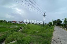 Tanah Kavling Dijual di Sleman, Yogyakarta dengan Luas Tanah 110m2 Tanah Kavling Dijual di Sleman, Yogyakarta dengan Luas Tanah 110m2
