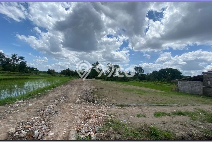 Untuk Dijual Tanah di Ngaglik Sleman Luas 103m2 SHM Untuk Dijual Tanah di Ngaglik Sleman Luas 103m2 SHM