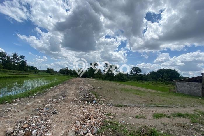 Tanah Kavling Dijual di Yogyakarta dengan Spesifikasi 100m2 Tanah Kavling Dijual di Yogyakarta dengan Spesifikasi 100m2