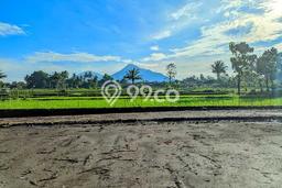 Dijual Tanah 146m2 di Sleman, Yogyakarta Dijual Tanah 146m2 di Sleman, Yogyakarta