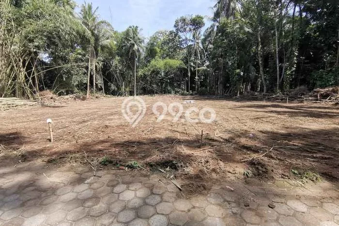 Tanah Investasi Dijual di Yogyakarta Punya Luas 90m2 Tanah Investasi Dijual di Yogyakarta Punya Luas 90m2