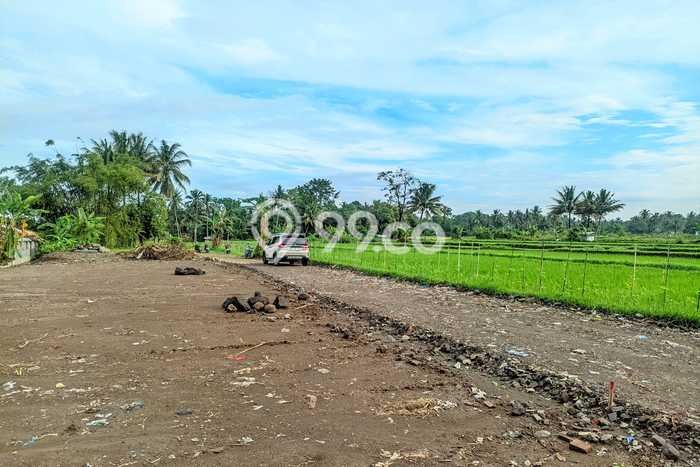 Jarang Ada! Tanah di Depok Punya Luas 146m2 SHM Jarang Ada! Tanah di Depok Punya Luas 146m2 SHM