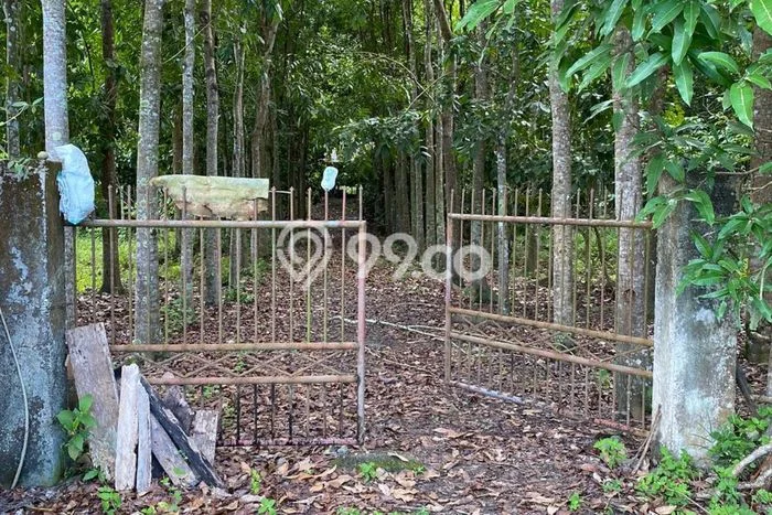 Tanah untuk Dijual Lokasi Tangse, Pidie Luas 250000m2 SHM Tanah untuk Dijual Lokasi Tangse, Pidie Luas 250000m2 SHM