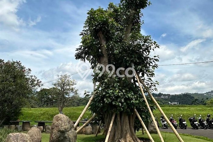 Dijual Tanah 1100m2 di Setiabudi, Bandung Dijual Tanah 1100m2 di Setiabudi, Bandung