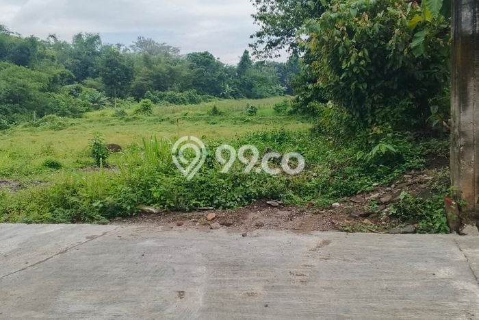 Tanah Kosong Dijual di Sleman dengan Area 168m2 Tanah Kosong Dijual di Sleman dengan Area 168m2