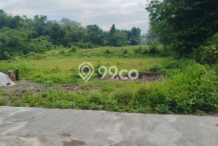 Tanah Kosong Dijual di Sleman dengan Area 168m2 Tanah Kosong Dijual di Sleman dengan Area 168m2