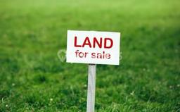 Untuk Dijual Tanah di Pesanggrahan Jakarta Selatan Luas 3000m2 - Untuk Dijual Tanah di Pesanggrahan Jakarta Selatan Luas 3000m2 -