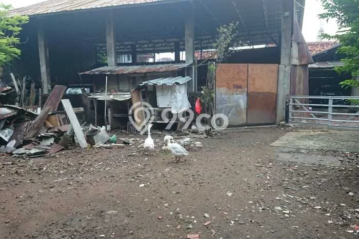 Dijual Rumah Mewah Exclusive di Senen, Jakarta Pusat Dijual Rumah Mewah Exclusive di Senen, Jakarta Pusat