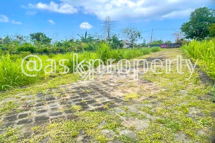 Tanah Kavling Dijual di Balangan, Badung dengan Luas Tanah 550m2 Tanah Kavling Dijual di Balangan, Badung dengan Luas Tanah 550m2