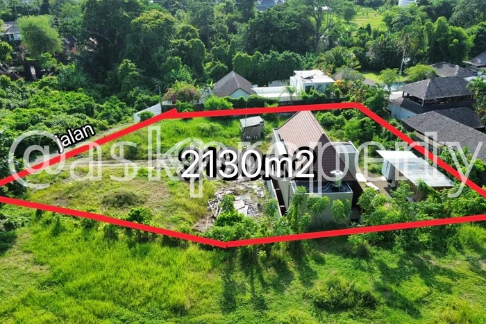 Tanah Dijual Area Strategis di Pererenan Badung 2130m2 Tanah Dijual Area Strategis di Pererenan Badung 2130m2