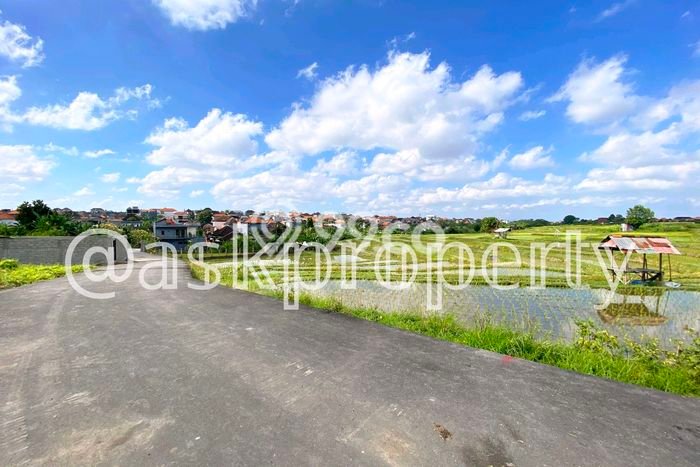 Tanah Kavling Dijual di Pererenan, Badung dengan Luas Tanah 231m2 Tanah Kavling Dijual di Pererenan, Badung dengan Luas Tanah 231m2