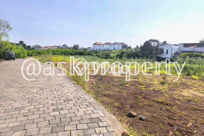 Dijual Tanah Lokasi Canggu, Badung Seluas 2975m2 Dijual Tanah Lokasi Canggu, Badung Seluas 2975m2