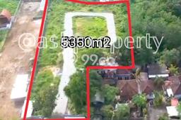 Tanah Siap Bangun Dijual di Badung Punya Luas 5350m2 Tanah Siap Bangun Dijual di Badung Punya Luas 5350m2
