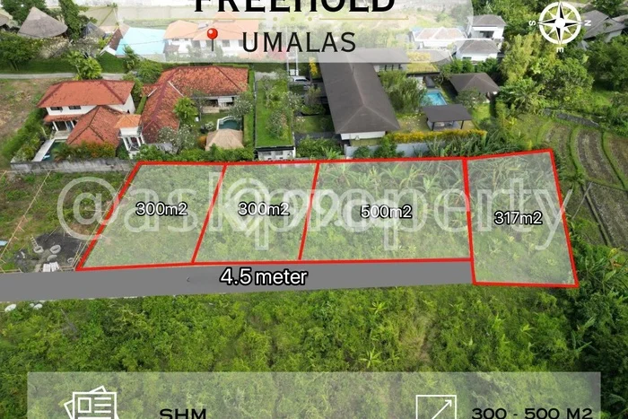 Tanah Investasi Dijual di Badung Punya Luas 300m2 Tanah Investasi Dijual di Badung Punya Luas 300m2