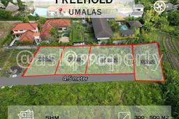 Tanah Investasi Dijual di Badung Punya Luas 300m2 Tanah Investasi Dijual di Badung Punya Luas 300m2