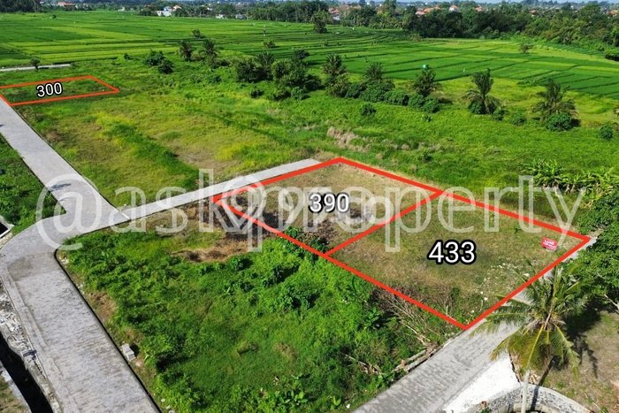 Tanah Siap Bangun Dijual di Tabanan Punya Luas 390m2 Tanah Siap Bangun Dijual di Tabanan Punya Luas 390m2