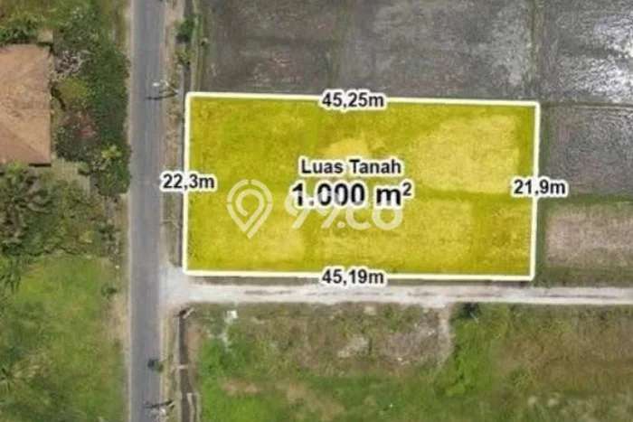 Tanah Kavling untuk Dijual di Cemagi Badung 1000m2 Tanah Kavling untuk Dijual di Cemagi Badung 1000m2