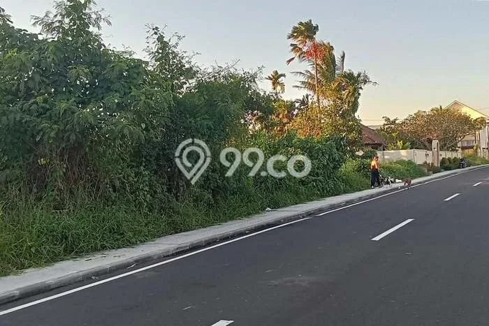 Tanah Kavling Dijual di Badung dengan Spesifikasi 835m2 Tanah Kavling Dijual di Badung dengan Spesifikasi 835m2