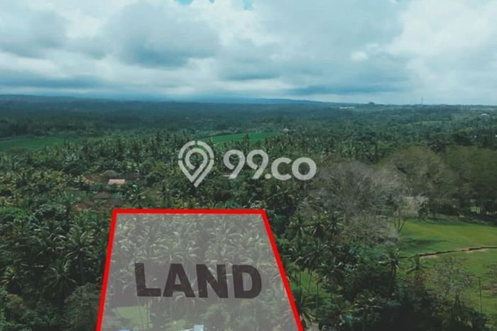 Tanah di Selemadeg, Tabanan Luas 2345m2 Dijual Segera Tanah di Selemadeg, Tabanan Luas 2345m2 Dijual Segera