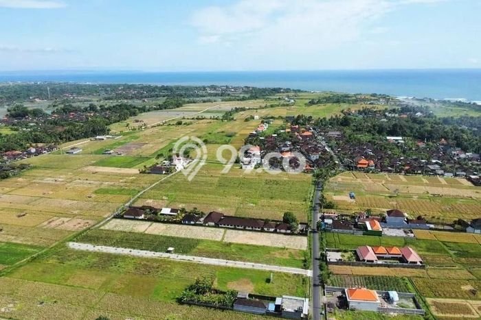 Tanah Dijual Lokasi Kediri, Tabanan Luas 1000m2 Legalitas Aman Tanah Dijual Lokasi Kediri, Tabanan Luas 1000m2 Legalitas Aman