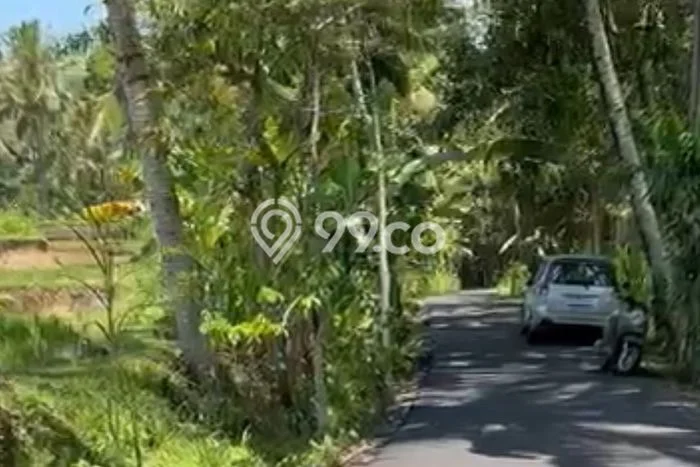Tanah Investasi Dijual di Gianyar Punya Luas 2800m2 Tanah Investasi Dijual di Gianyar Punya Luas 2800m2