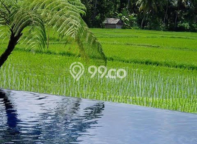 Lokasi Strategis! Vila Kawasan Kediri, Dimensi 1960m2m², Kondisi Terbaik Lokasi Strategis! Vila Kawasan Kediri, Dimensi 1960m2m², Kondisi Terbaik