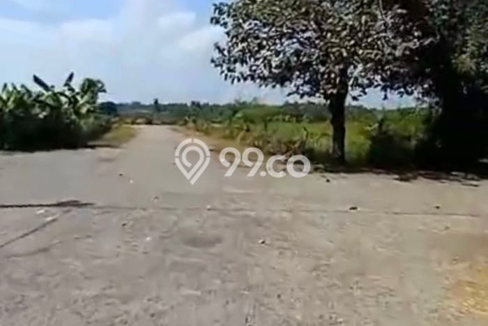 Tanah Strategis Dijual di Kediri Tabanan 250m2 Tanah Strategis Dijual di Kediri Tabanan 250m2
