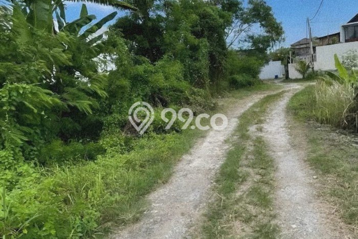Tanah Dijual Lokasi Mengwi, Badung dengan Luas Tanah 301m2 dan Status SHM Tanah Dijual Lokasi Mengwi, Badung dengan Luas Tanah 301m2 dan Status SHM