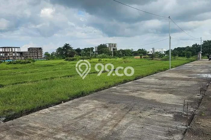 Kavling Tanah untuk Dijual di Kedungu, Tabanan, Luas 2000m2 Kavling Tanah untuk Dijual di Kedungu, Tabanan, Luas 2000m2