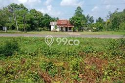 Jarang Ada! Tanah di Banyuasin III Punya Luas 19105m2 SHM Jarang Ada! Tanah di Banyuasin III Punya Luas 19105m2 SHM