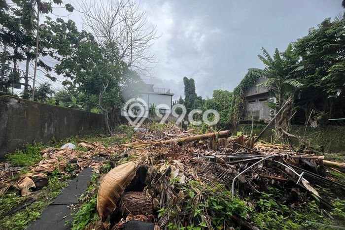 Kavling Tanah untuk Disewa di canggu Lahan Luas 1400m2 Kavling Tanah untuk Disewa di canggu Lahan Luas 1400m2