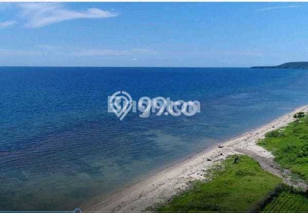 Tanah untuk Dijual di Sumbawa Sumbawa Luas 39000m2 Tanah untuk Dijual di Sumbawa Sumbawa Luas 39000m2