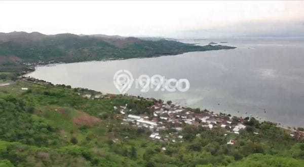 Kavling Tanah Dijual di Sekotong Lombok Barat Spesifikasi 170000m2 Kavling Tanah Dijual di Sekotong Lombok Barat Spesifikasi 170000m2