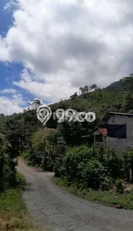 Lahan Kosong Dijual di Buleleng dengan Area 2500m2 Lahan Kosong Dijual di Buleleng dengan Area 2500m2