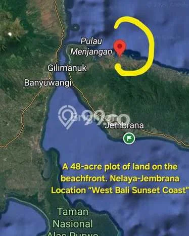 Jarang Ada! Tanah di Melaya Punya Luas 7800m2 SHM Jarang Ada! Tanah di Melaya Punya Luas 7800m2 SHM