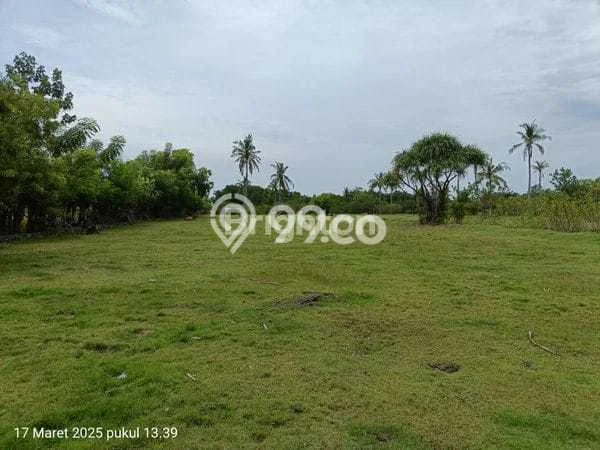 Jarang Ada! Tanah di Melaya Punya Luas 7800m2 SHM Jarang Ada! Tanah di Melaya Punya Luas 7800m2 SHM