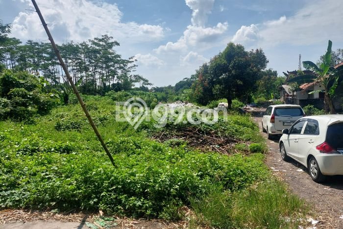 Tanah untuk Dijual di Mranggen Demak Luas 103m2 Tanah untuk Dijual di Mranggen Demak Luas 103m2
