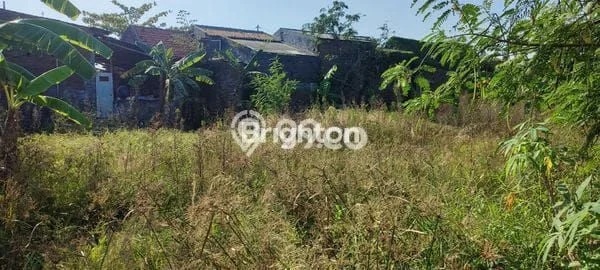 Tanah Kavling untuk Dijual di Mranggen Demak 227m2 Tanah Kavling untuk Dijual di Mranggen Demak 227m2