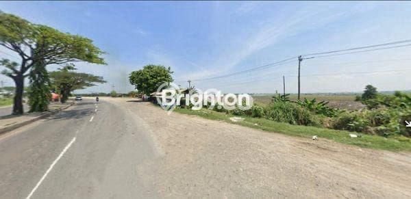 Untuk Dijual Tanah di Kaliwungu Kendal Luas 10000m2 SHM Untuk Dijual Tanah di Kaliwungu Kendal Luas 10000m2 SHM