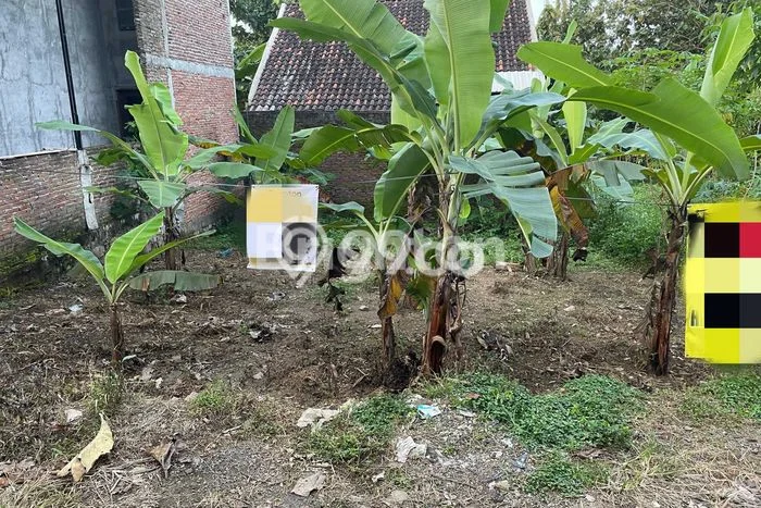 Lahan Kosong Dijual di Ungaran Barat, Semarang, Luas 95m2 Area Strategis Lahan Kosong Dijual di Ungaran Barat, Semarang, Luas 95m2 Area Strategis