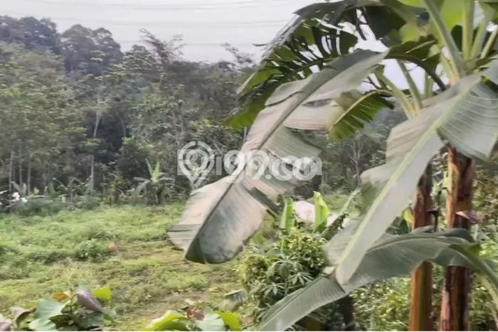 Lahan Kosong Dijual di Ungaran Barat, Semarang, Luas 95m2 Area Strategis Lahan Kosong Dijual di Ungaran Barat, Semarang, Luas 95m2 Area Strategis
