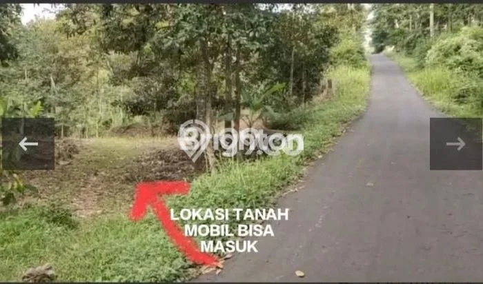 Tanah di Banyubiru, Semarang Luas 5278m2 Dijual Segera Tanah di Banyubiru, Semarang Luas 5278m2 Dijual Segera