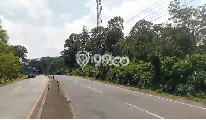 Kavling Tanah Dijual di Limpung Batang Spesifikasi 110000m2 Kavling Tanah Dijual di Limpung Batang Spesifikasi 110000m2
