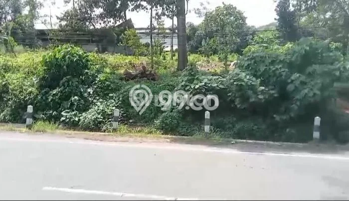 Kavling Tanah Dijual di Limpung Batang Spesifikasi 110000m2 Kavling Tanah Dijual di Limpung Batang Spesifikasi 110000m2